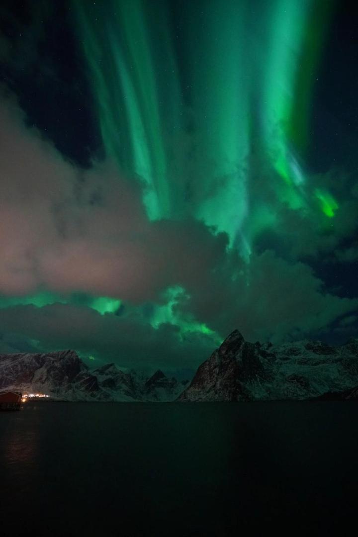 Lofoten Panoramic Luxury Home With Sauna Moskenes Buitenkant foto