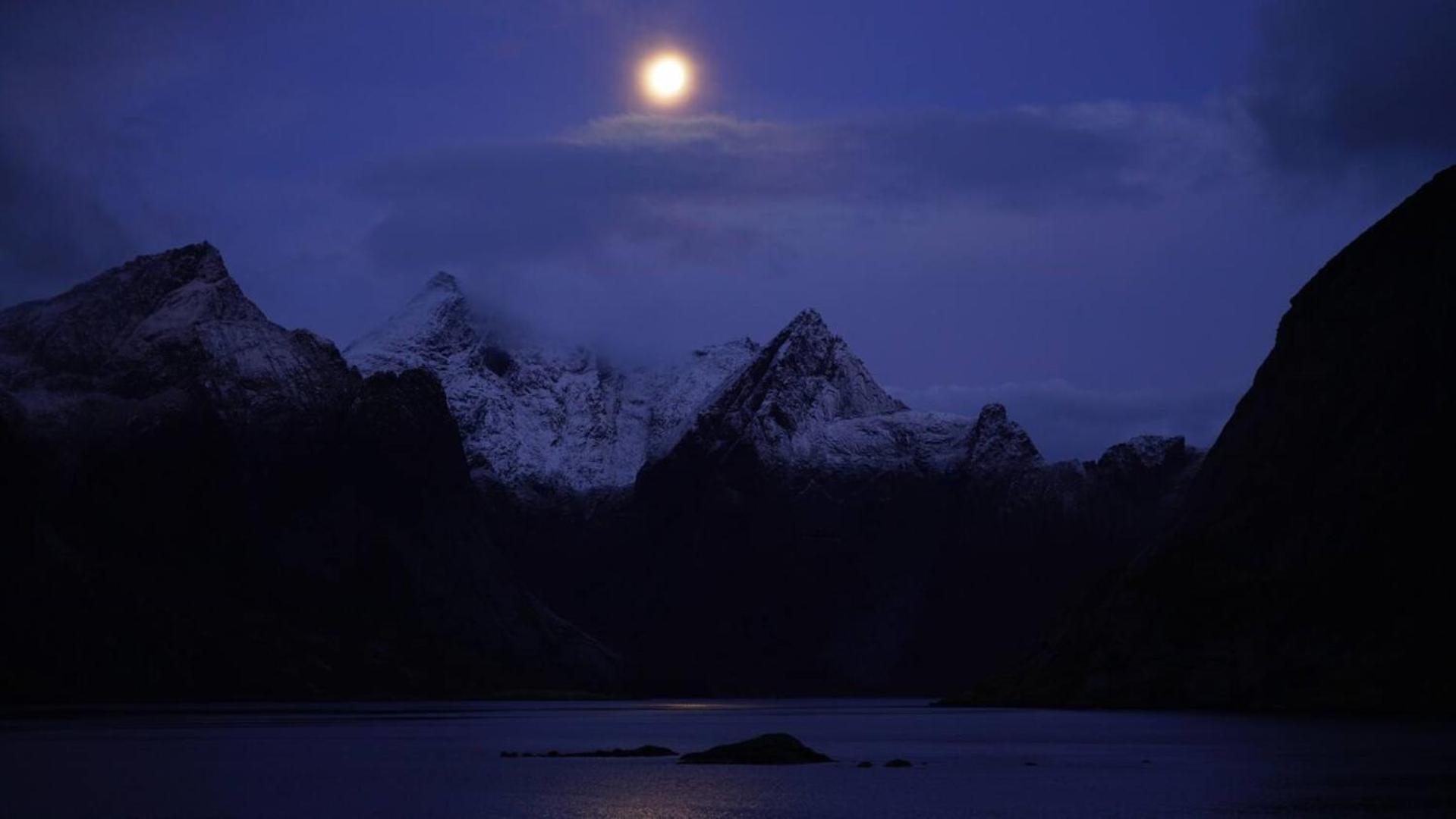 Lofoten Panoramic Luxury Home With Sauna Moskenes Buitenkant foto