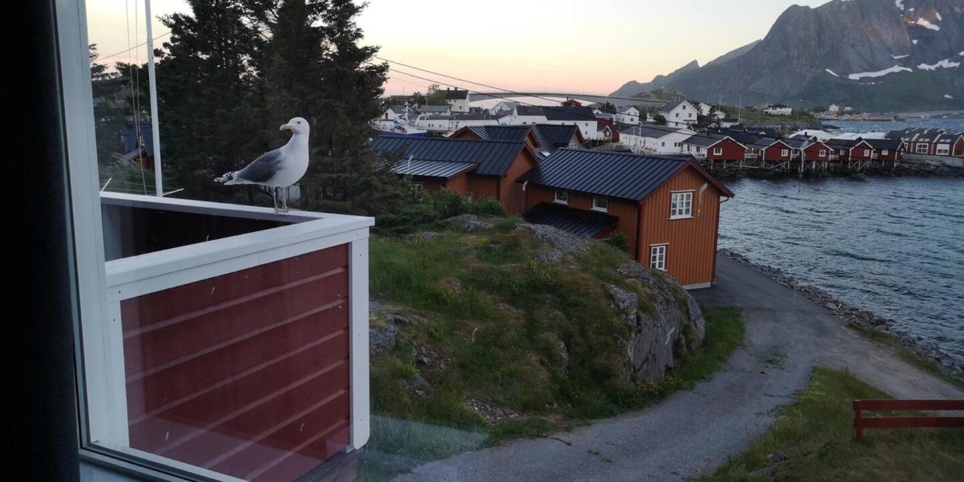 Lofoten Panoramic Luxury Home With Sauna Moskenes Buitenkant foto