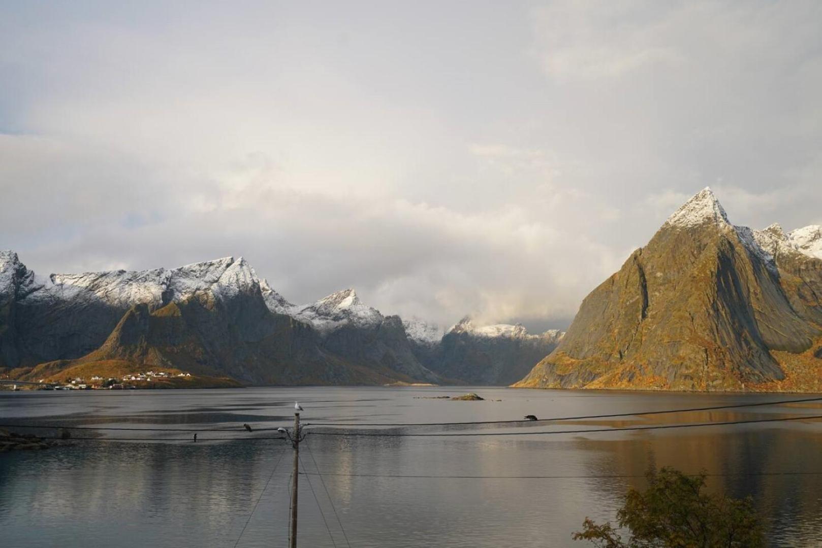 Lofoten Panoramic Luxury Home With Sauna Moskenes Buitenkant foto