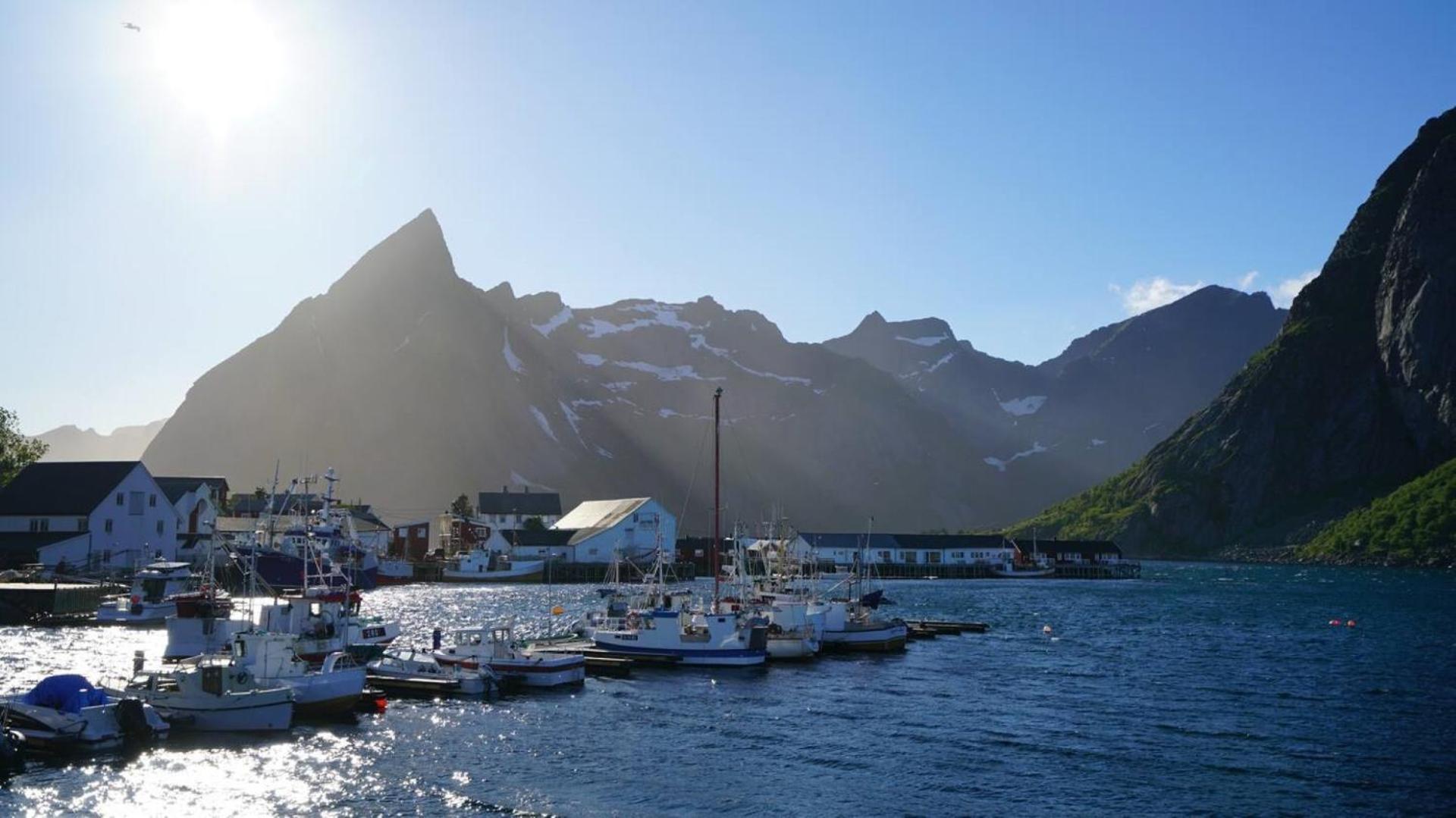 Lofoten Panoramic Luxury Home With Sauna Moskenes Buitenkant foto