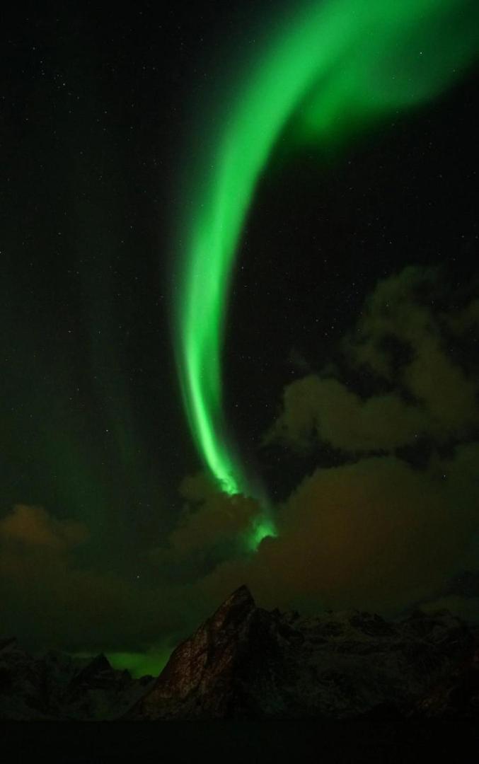 Lofoten Panoramic Luxury Home With Sauna Moskenes Buitenkant foto